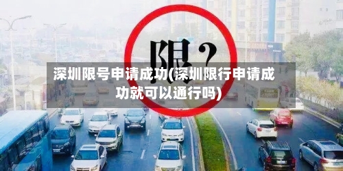 深圳限号申请成功(深圳限行申请成功就可以通行吗)-第2张图片