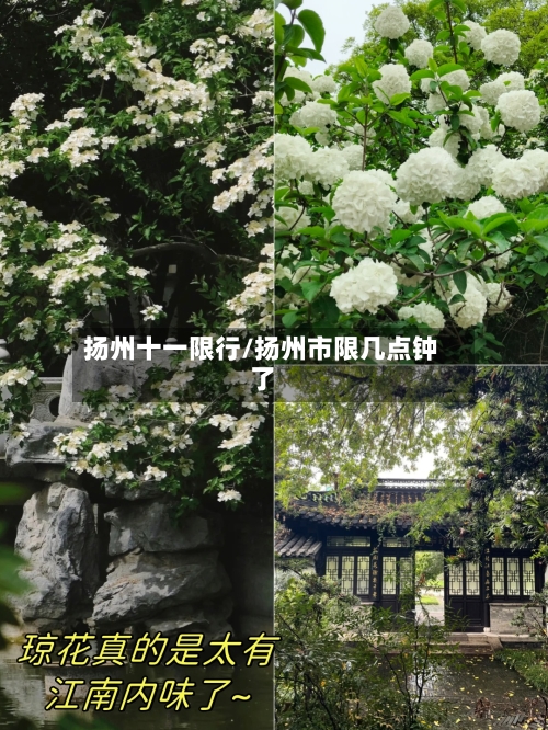 扬州十一限行/扬州市限几点钟了