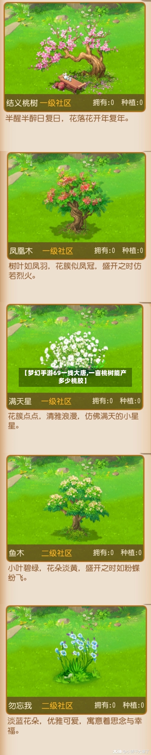 【梦幻手游69一线大唐,一亩桃树能产多少桃胶】