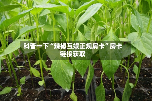科普一下“辣椒互娱正规房卡	”房卡链接获取-第2张图片