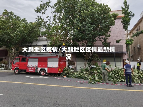 大鹏地区疫情/大鹏地区疫情最新情况