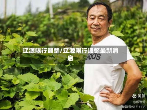 辽源限行调整/辽源限行调整最新消息-第3张图片