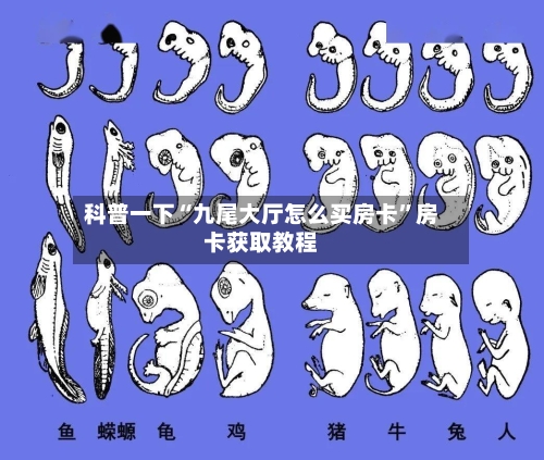 科普一下“九尾大厅怎么买房卡”房卡获取教程