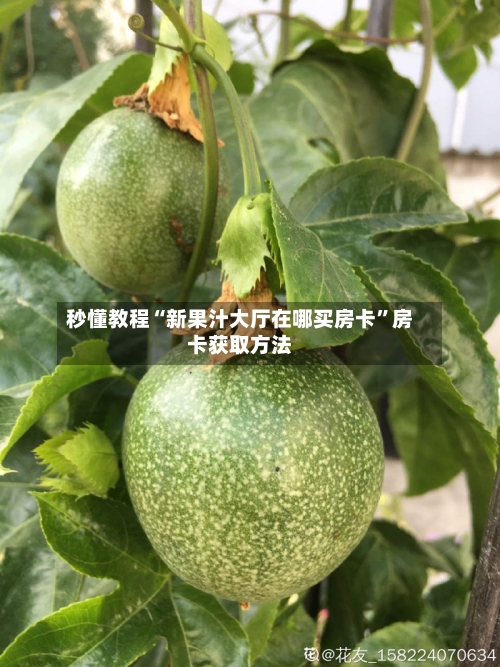 秒懂教程“新果汁大厅在哪买房卡”房卡获取方法