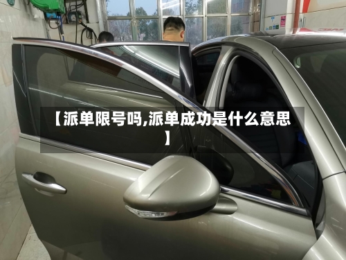 【派单限号吗,派单成功是什么意思】-第2张图片