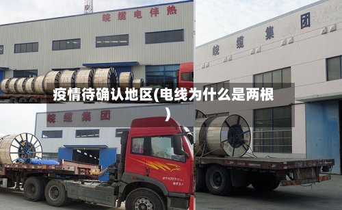 疫情待确认地区(电线为什么是两根)-第2张图片
