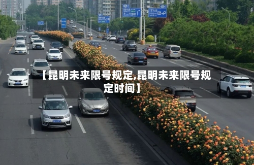 【昆明未来限号规定,昆明未来限号规定时间】-第2张图片
