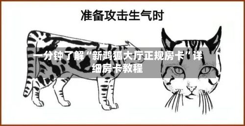 一分钟了解“新鸿狐大厅正规房卡”详细房卡教程-第3张图片
