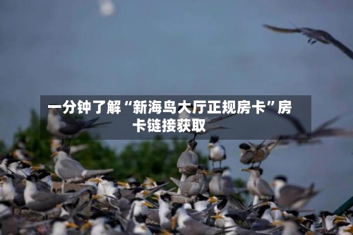 一分钟了解“新海鸟大厅正规房卡”房卡链接获取