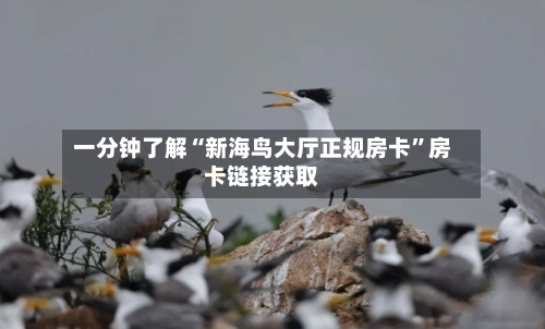 一分钟了解“新海鸟大厅正规房卡”房卡链接获取-第3张图片