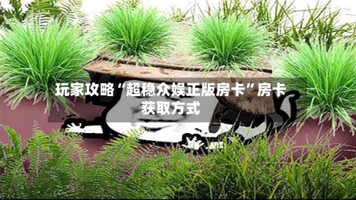 玩家攻略“超稳众娱正版房卡”房卡获取方式-第3张图片