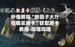 秒懂教程“新茄子大厅在哪买房卡”获取房卡教程-哔哩哔哩
