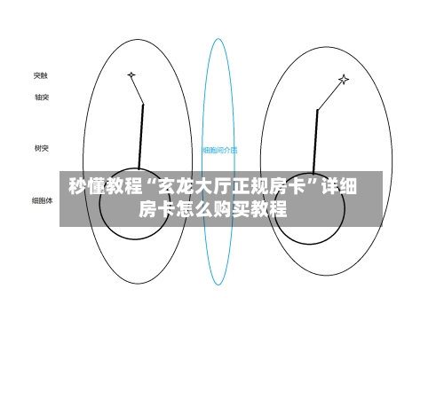 秒懂教程“玄龙大厅正规房卡”详细房卡怎么购买教程