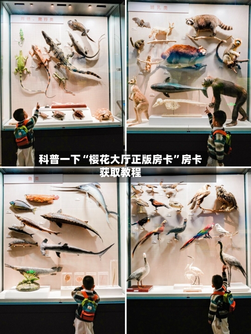 科普一下“樱花大厅正版房卡”房卡获取教程-第2张图片