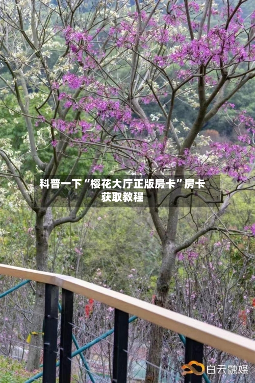 科普一下“樱花大厅正版房卡”房卡获取教程