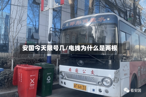 安国今天限号几/电线为什么是两根