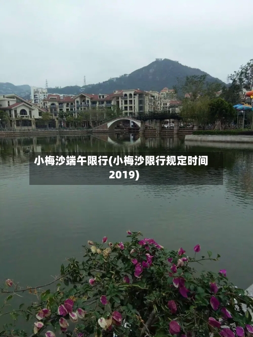 小梅沙端午限行(小梅沙限行规定时间2019)-第2张图片