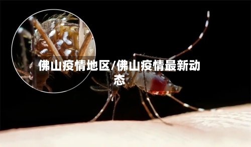 佛山疫情地区/佛山疫情最新动态
