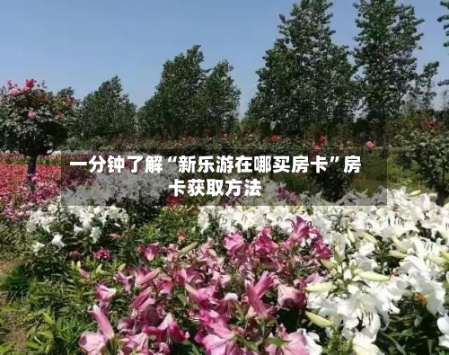 一分钟了解“新乐游在哪买房卡	”房卡获取方法-第3张图片