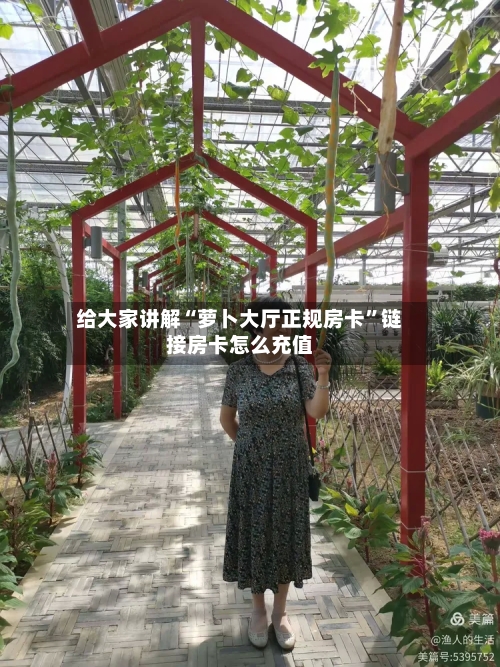 给大家讲解“萝卜大厅正规房卡”链接房卡怎么充值-第2张图片