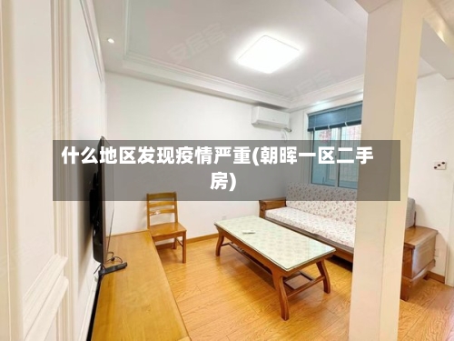 什么地区发现疫情严重(朝晖一区二手房)