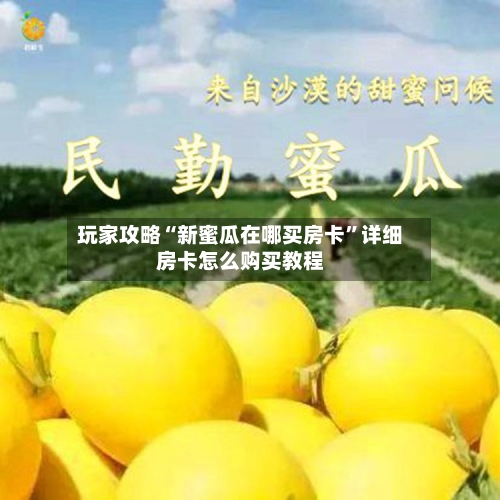 玩家攻略“新蜜瓜在哪买房卡”详细房卡怎么购买教程