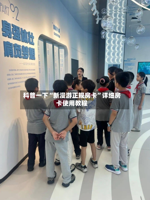 科普一下“新漫游正规房卡”详细房卡使用教程
