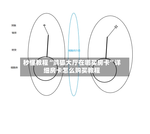 秒懂教程“鸿狐大厅在哪买房卡”详细房卡怎么购买教程-第2张图片