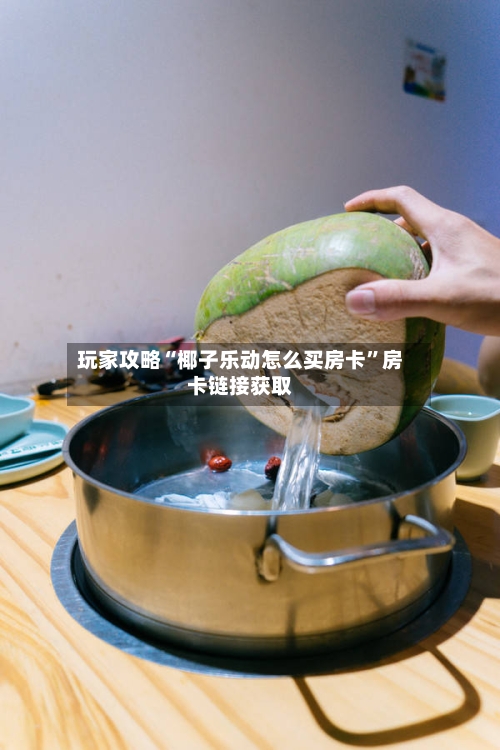 玩家攻略“椰子乐动怎么买房卡”房卡链接获取-第2张图片