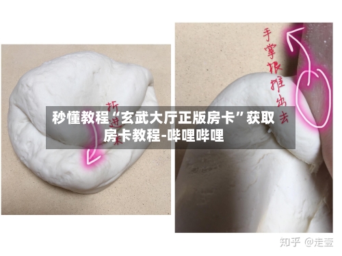秒懂教程“玄武大厅正版房卡”获取房卡教程-哔哩哔哩
