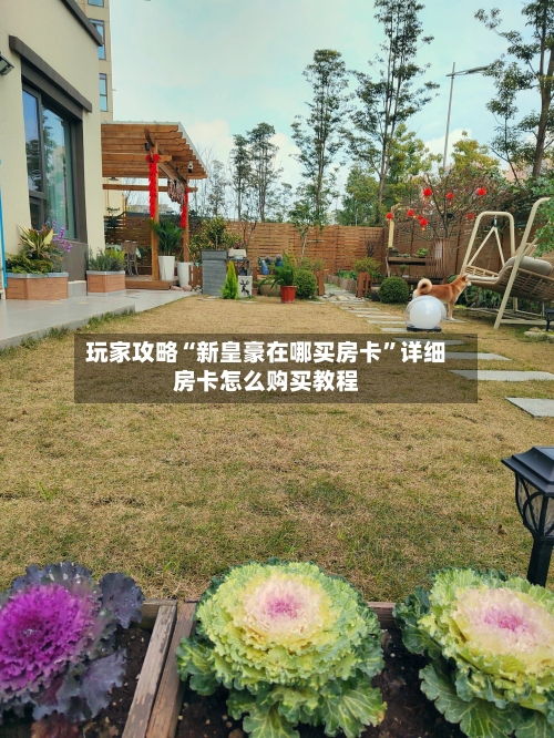玩家攻略“新皇豪在哪买房卡”详细房卡怎么购买教程