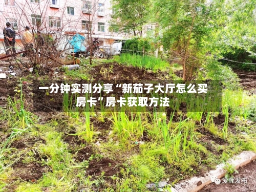 一分钟实测分享“新茄子大厅怎么买房卡”房卡获取方法