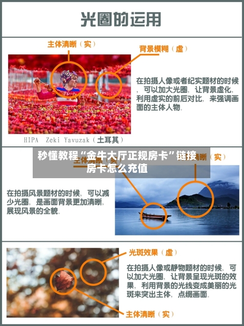 秒懂教程“金牛大厅正规房卡”链接房卡怎么充值