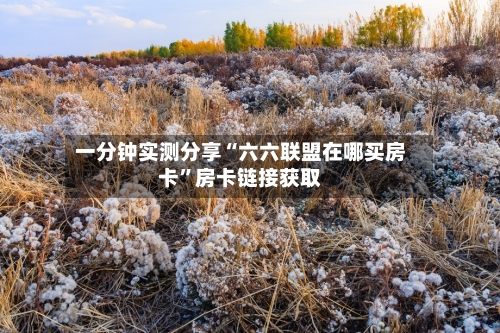一分钟实测分享“六六联盟在哪买房卡	”房卡链接获取-第2张图片