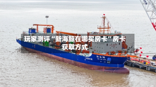 玩家测评“新海鲸在哪买房卡”房卡获取方式-第3张图片