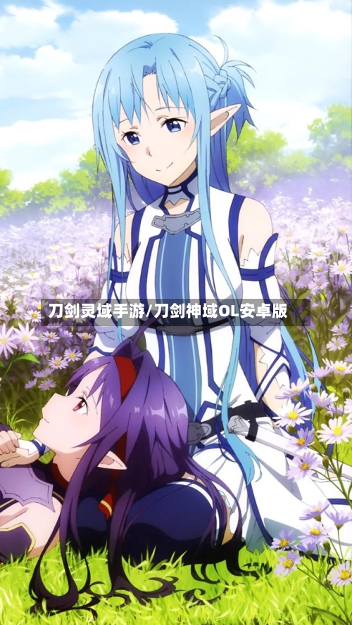 刀剑灵域手游/刀剑神域OL安卓版-第2张图片