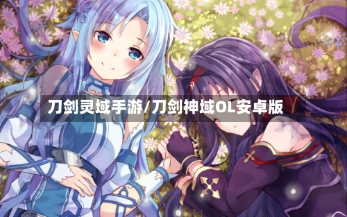刀剑灵域手游/刀剑神域OL安卓版-第3张图片