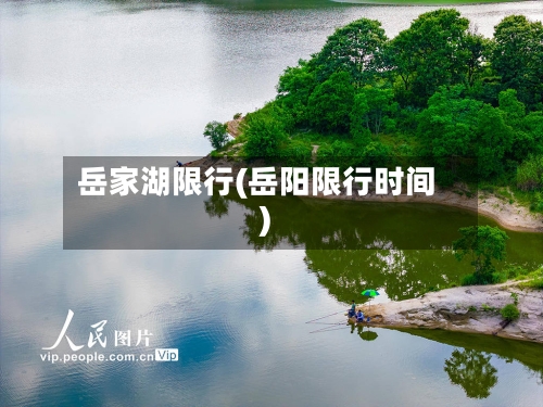 岳家湖限行(岳阳限行时间)