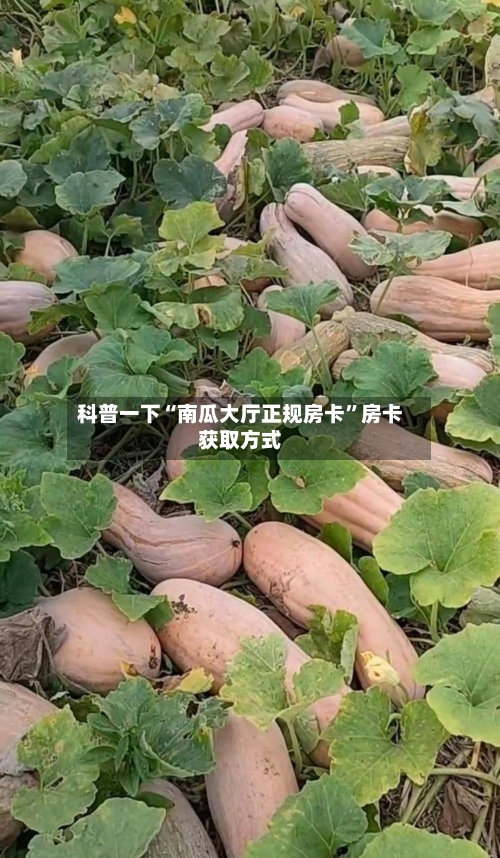 科普一下“南瓜大厅正规房卡”房卡获取方式
