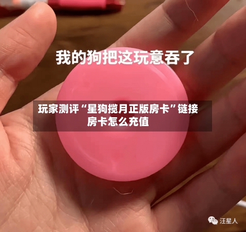 玩家测评“星狗揽月正版房卡”链接房卡怎么充值-第2张图片