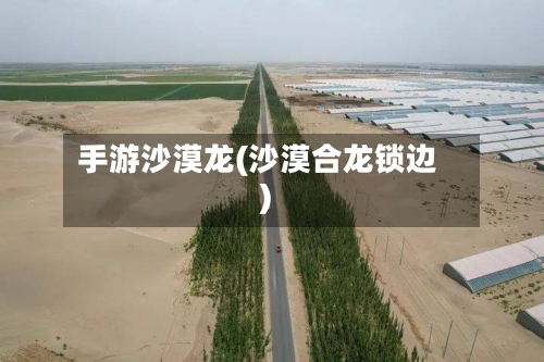 手游沙漠龙(沙漠合龙锁边)