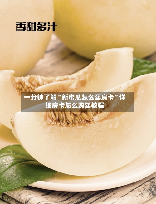 一分钟了解“新蜜瓜怎么买房卡”详细房卡怎么购买教程-第3张图片