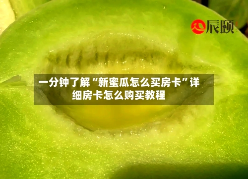 一分钟了解“新蜜瓜怎么买房卡	”详细房卡怎么购买教程-第2张图片