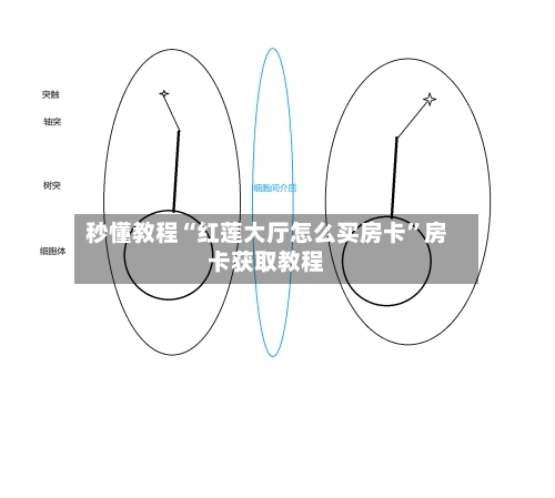 秒懂教程“红莲大厅怎么买房卡”房卡获取教程-第2张图片