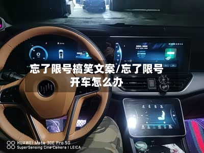 忘了限号搞笑文案/忘了限号开车怎么办-第2张图片
