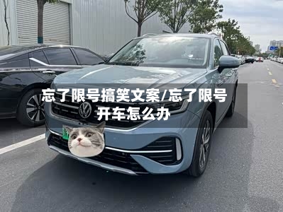 忘了限号搞笑文案/忘了限号开车怎么办