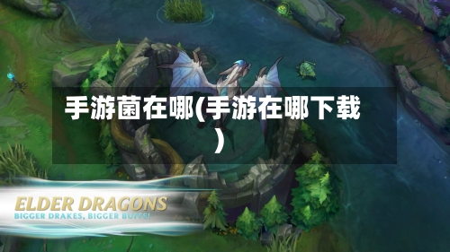手游菌在哪(手游在哪下载)