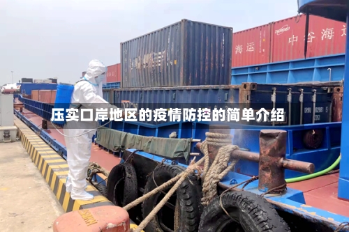 压实口岸地区的疫情防控的简单介绍