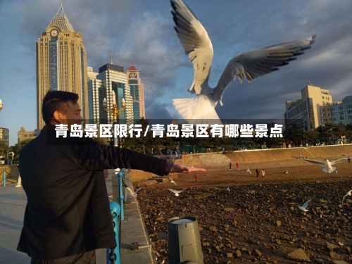 青岛景区限行/青岛景区有哪些景点-第2张图片