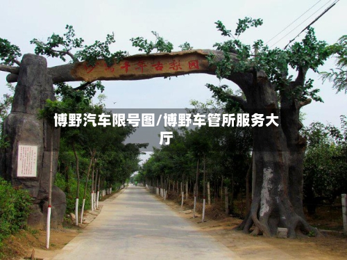 博野汽车限号图/博野车管所服务大厅-第2张图片